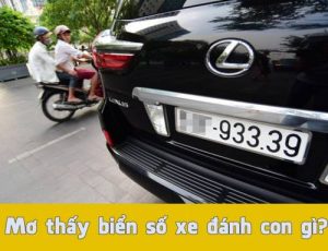 Mơ thấy biển số xe đánh con gì để trúng lớn?