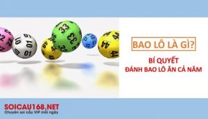 Bao lô là gì?