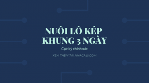 Cách nuôi lô kép khung 3 ngày chính xác nhất