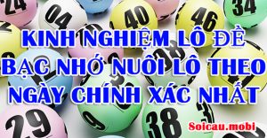 Kinh nghiệm nuôi lô theo ngày từ lô rơi theo lô