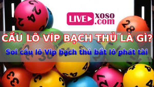 Cầu lô vip bạch thủ là gì? Soi cầu lô Vip bạch thủ bắt lô phát tài