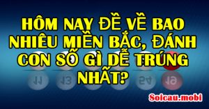 Lô, đề miền bắc hôm qua, hôm nay về con gì?